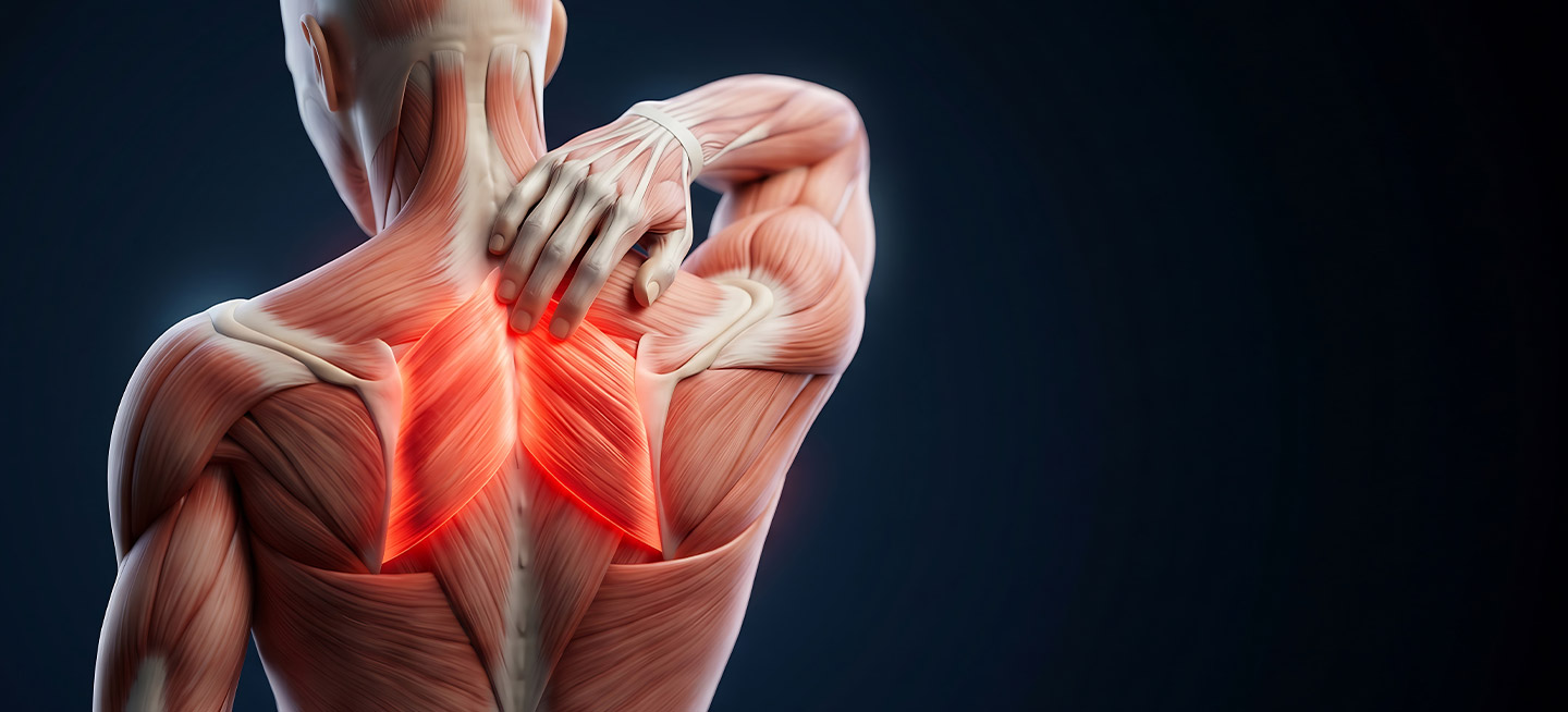Desk job back pain — how do I fix it? 2 Good posture becomes a problem